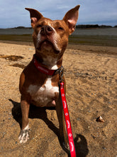 Load image into Gallery viewer, Harpoon CycleDog Dog Leash