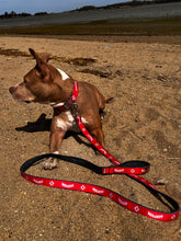 Load image into Gallery viewer, Harpoon CycleDog Dog Leash