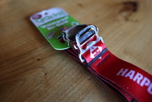 Load image into Gallery viewer, Harpoon CycleDog Dog Collar
